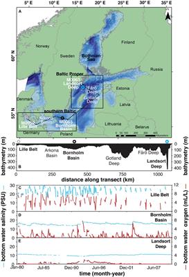 Holocene Spatiotemporal Redox Variations in the Southern Baltic Sea